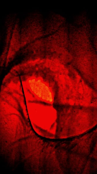 IMAG0330